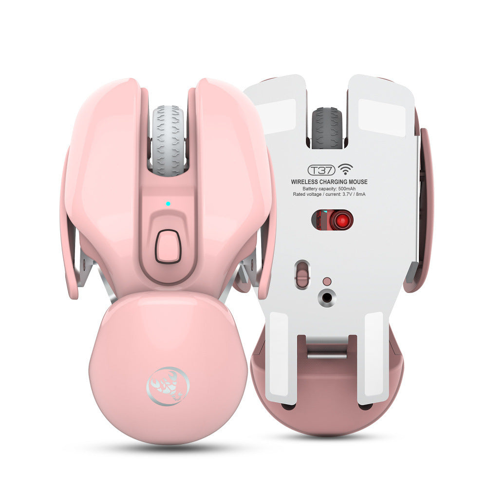 Souris Sans Fil USB Rechargeable 1600 DPI – Silencieuse, Ergonomique, Compatible PC Bureau & Laptop, Design Féminin