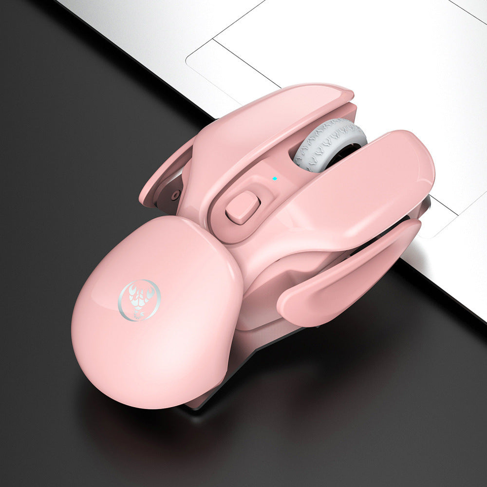 Souris Sans Fil USB Rechargeable 1600 DPI – Silencieuse, Ergonomique, Compatible PC Bureau & Laptop, Design Féminin