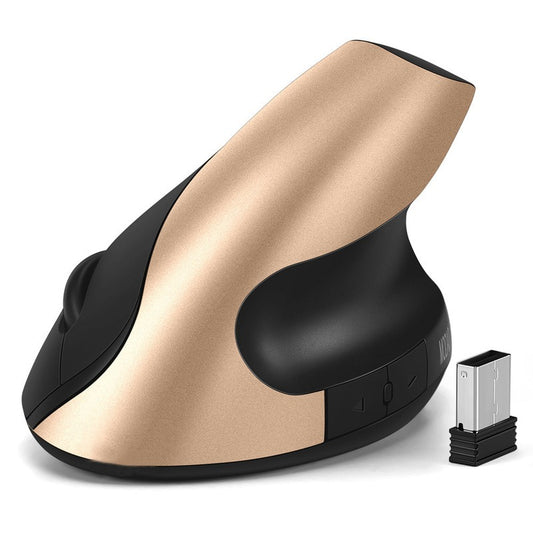 Souris Sans Fil Ergonomique 2.4G Silencieuse Rechargeable – Verticale & Tenue en Main, Optique, Or Gris Noir, PC & Laptop