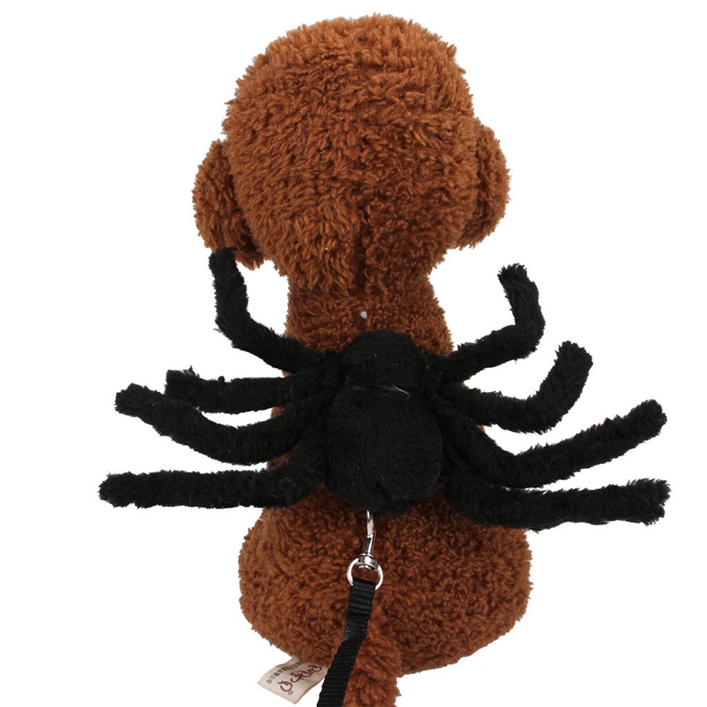 Harnais Déguisement Araignée Halloween pour Chat & Chien – Peluche + Laisse 120cm, Ajustable, Noir ou Rouge