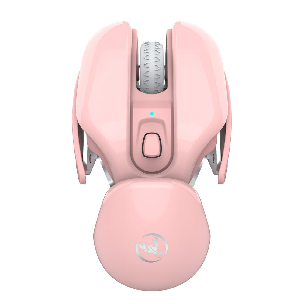 Souris Sans Fil USB Rechargeable 1600 DPI – Silencieuse, Ergonomique, Compatible PC Bureau & Laptop, Design Féminin